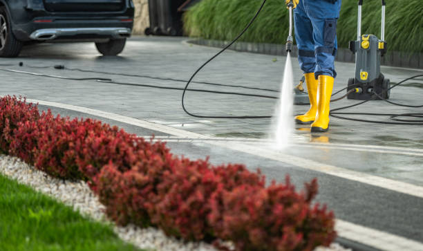 Best Gutter Cleaning  in Elmira Heights, NY