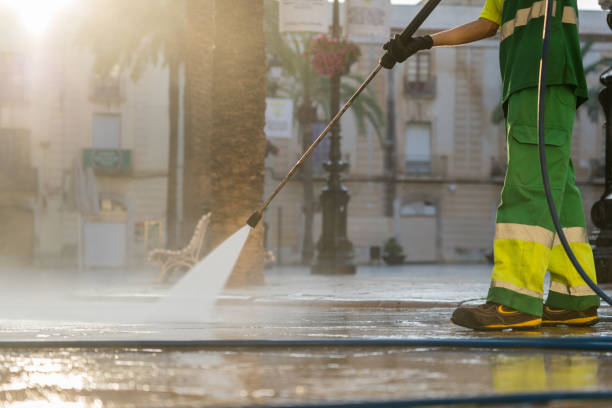 Best Dumpster Area Cleaning  in Elmira Heights, NY